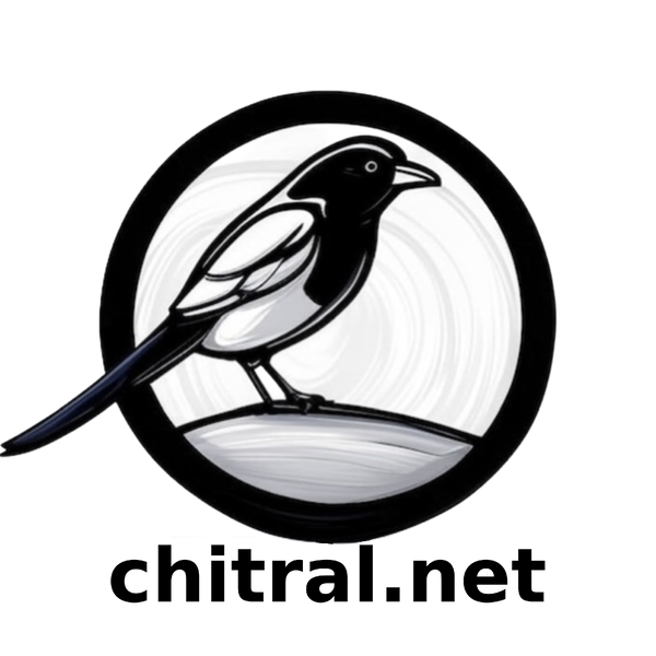 File:Chitral-net-logo-new.png